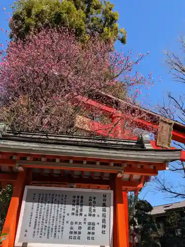 馬橋稲荷神社(東京都)