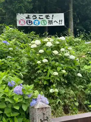 粟井神社(香川県)