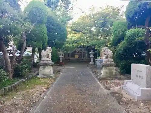 駒ケ林蛭子神社の狛犬