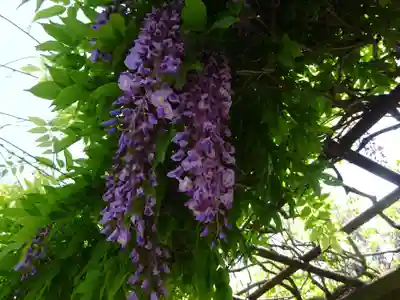 正一位霊験稲荷社の自然