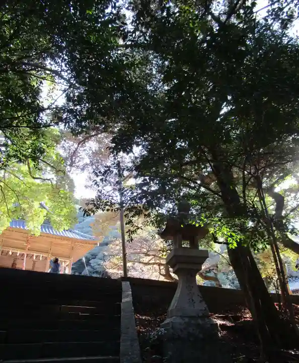 海神神社(長崎県)