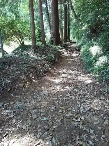 今熊神社の自然