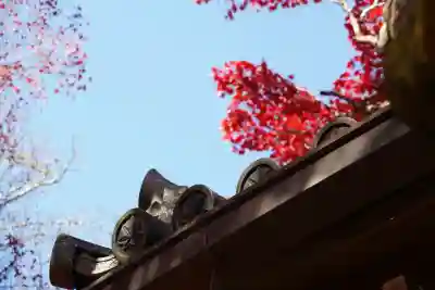 常寂光寺(京都府)