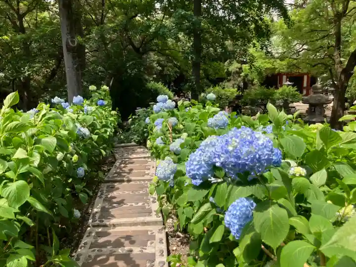 長命寺(東京都)