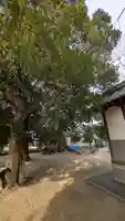 五字神社(大阪府)