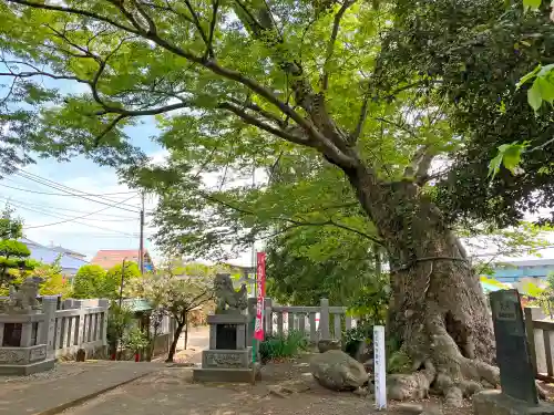 比比多神社（子易明神）の自然