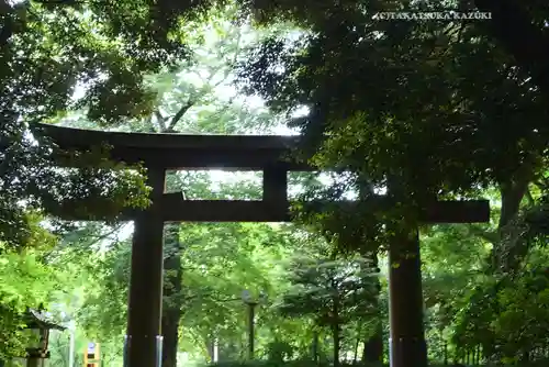 明治神宮(東京都)