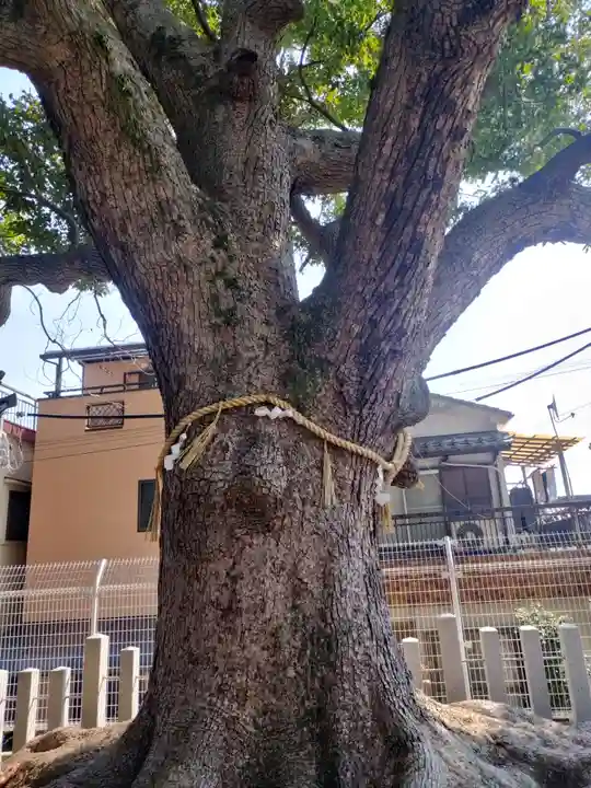 阿保神社(大阪府)