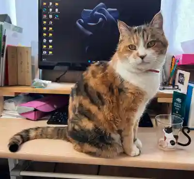 秩父札所十三番 慈眼寺(埼玉県)