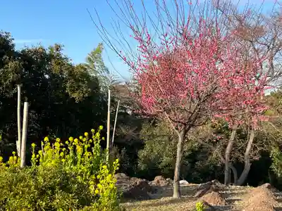 石清水八幡宮(京都府)