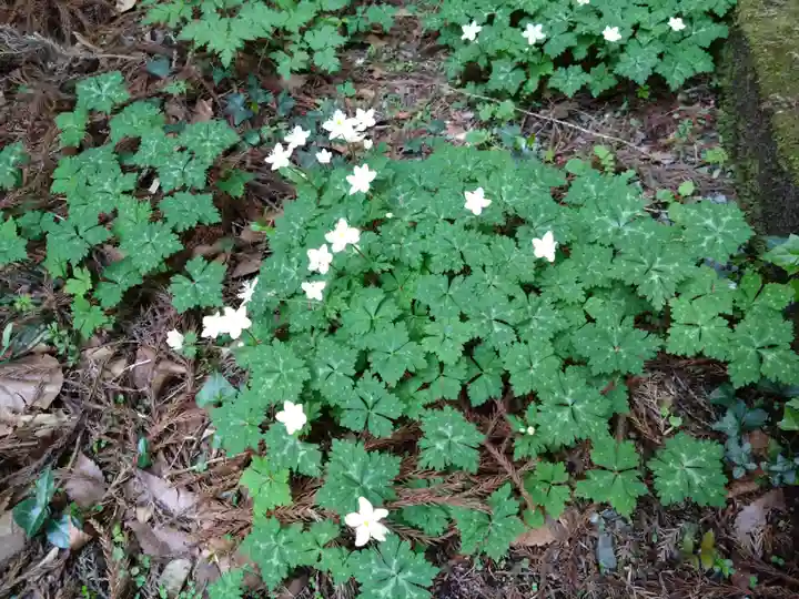 国造神社(熊本県)