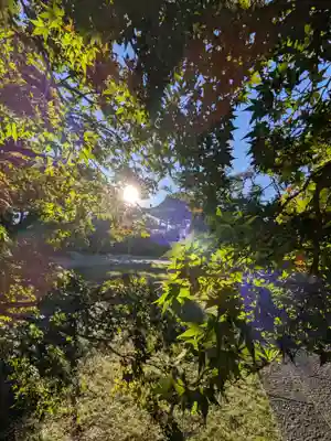 福蔵院(東京都)