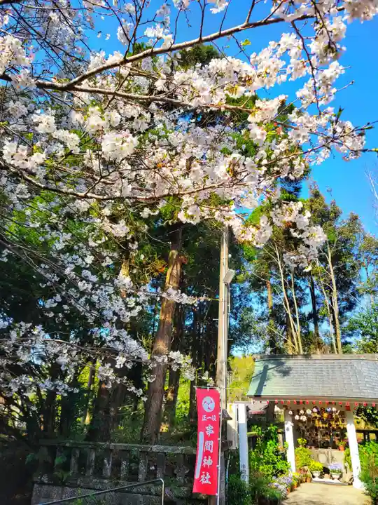 串間神社の御朱印