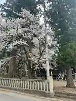 大日靈貴神社(秋田県)