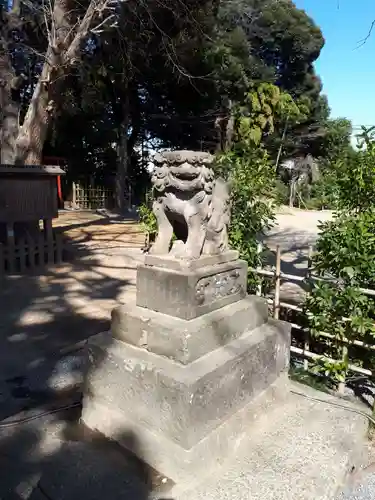 岩槻愛宕神社の狛犬