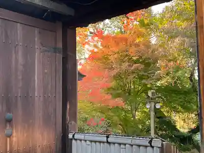 曼殊院門跡(京都府)