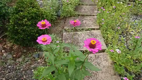 稲荷神社の自然