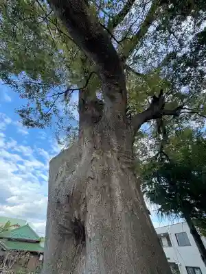 二之江神社(東京都)