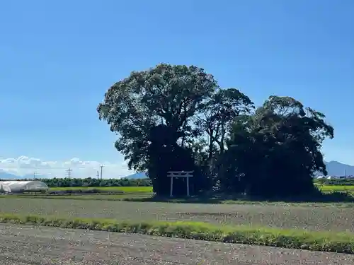 井王三郎神社(熊本県)