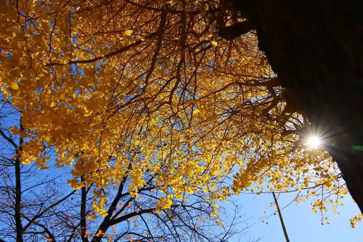 晴門田神社(福島県)