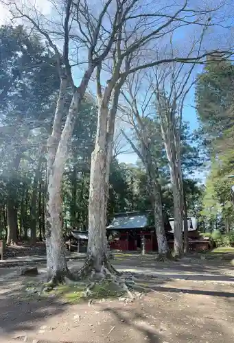 都々古別神社(八槻)の{uncategorized: "未分類", other: "その他", undefined: "問題あり", building: "その他建物", grave: "お墓", sacred_gate: "鳥居", guardian: "狛犬", statue: "像", buddha: "仏像", history: "歴史", nature: "自然", garden: "庭園", animal: "動物", pagoda: "塔", temizu: "手水舎", mountain_gate: "山門・神門", sanctuary: "本殿・本堂", subordinate: "末社・摂社", art: "芸術", scenery: "景色", jizo: "地蔵", ema: "絵馬", goshuin: "御朱印", omikuji: "おみくじ", items: "授与品その他", amulet: "お守り", goshuincho: "御朱印帳", eats: "食事", festival: "お祭り", votive_dance: "神楽", shichigosan: "七五三参", wedding: "結婚式", experience: "体験その他", initially: "初詣", around: "周辺", anti_infection: "感染症対策"}