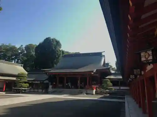 藤崎八旛宮の本殿・本堂