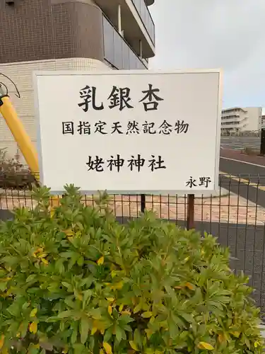 姥神神社(宮城県)