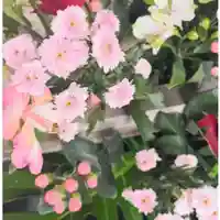 彌彦神社 (伊夜日子神社)の手水舎