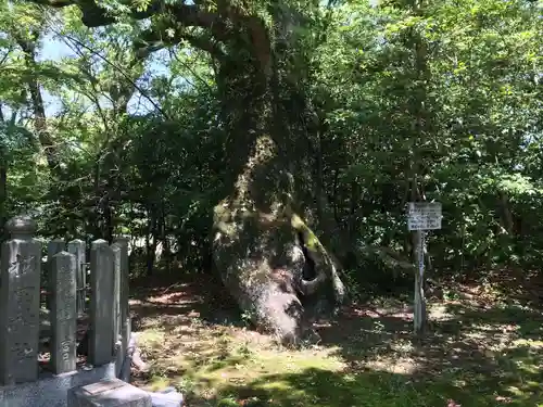 櫛田宮(佐賀県)