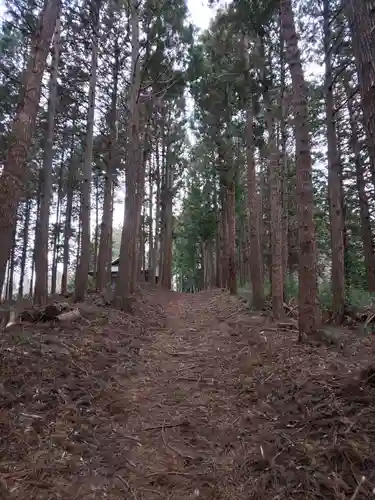 近津神社の自然
