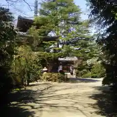 東禅寺の建物その他