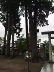 總宮神社の自然