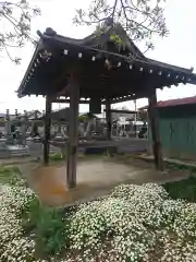 長松寺の建物その他