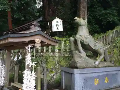 八幡朝見神社(大分県)