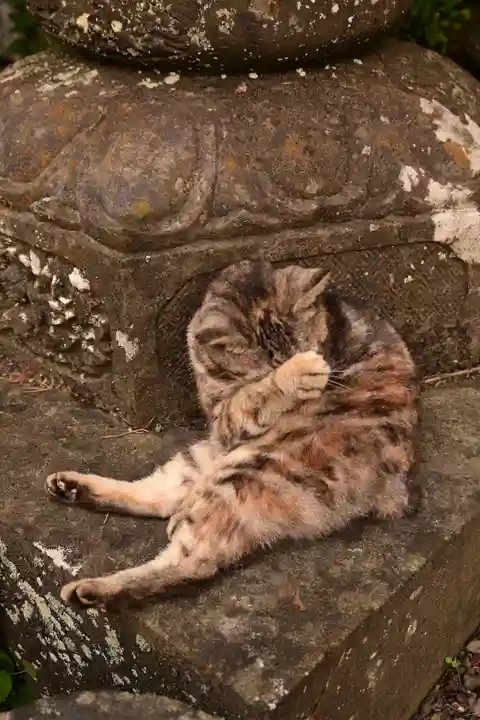 釋尊寺(長野県)