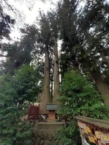 都々古別神社(八槻)(福島県)