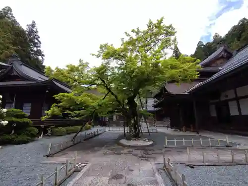龍泉院(和歌山県)