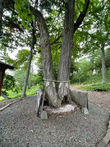 浦幌神社・乳神神社の自然