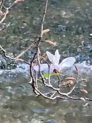 祇園白川辨戝天社(京都府)