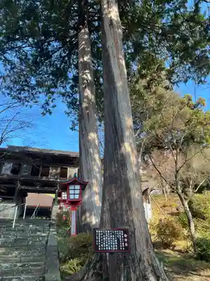 大善寺(山梨県)