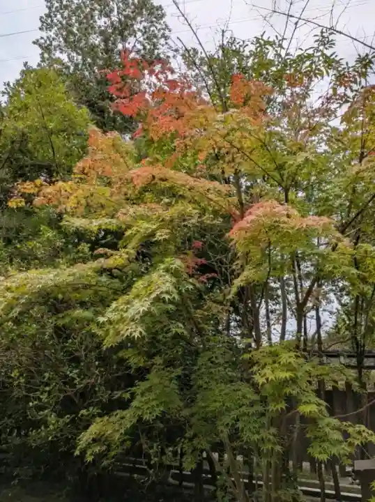 宇治上神社(京都府)