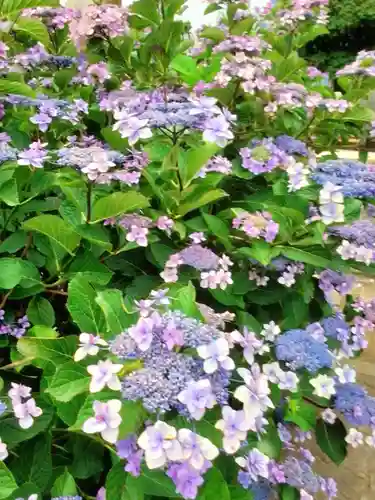 宝祥寺(東京都)