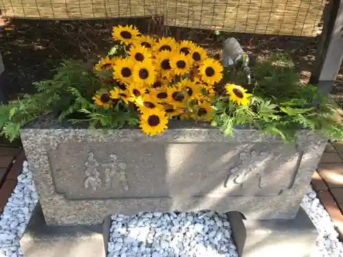 錦山天満宮の手水舎