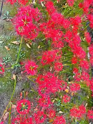 横浜　西方寺(神奈川県)