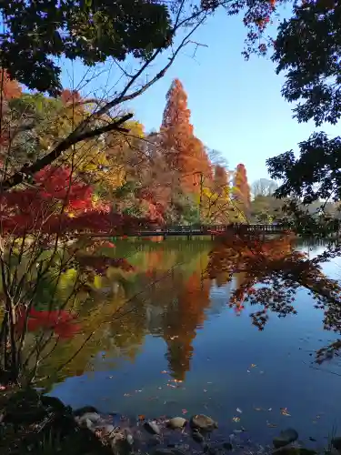井の頭弁財天（大盛寺）(東京都)