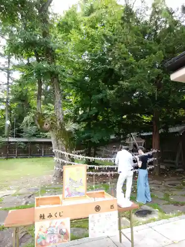 帯廣神社のおみくじ