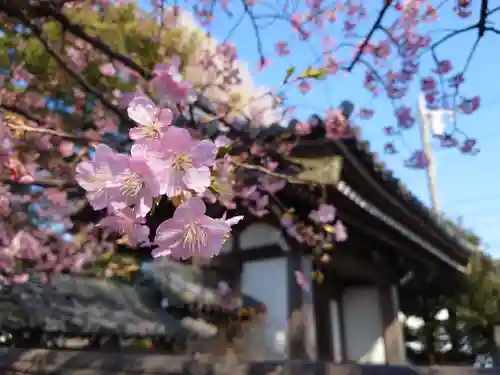 宗仲寺(神奈川県)