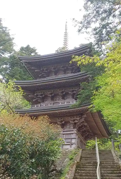 國泰寺のその他建物