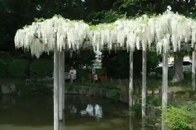 玉敷神社(埼玉県)
