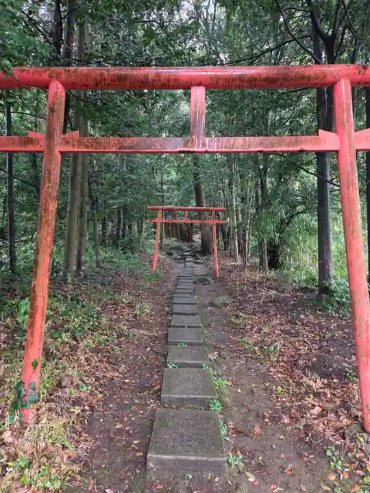 鹿児島神宮(鹿児島県)